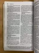 Bíblia del ministro letra gigante Nbla nueva Bíblia de las Americas comfort print12 puntos