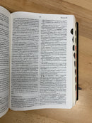 Bíblia de estudio palabra clave piel genuina índice con diccionario hebreo y griego