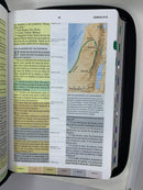 Biblia de Estudio Arco Iris Pastoral con Cierre Reina-Valera 1960 negro con índice bolsillo