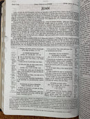 Bíblia de estudio scoffed reina valera 1960  piel fabricada con índice negro