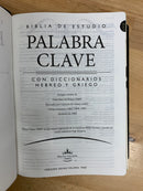 Bíblia de estudio palabra clave piel genuina índice con diccionario hebreo y griego