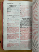 Bíblia de letra grande para mujer Reina Valera 1960 cierre índice salmón brillos