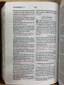 Bíblia tamaño bolsillo reina Valera 1960 chocolate cierre con índice 10 puntos