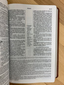 Bíblia de estudio scofieeld Riena Valera 1960 semipiel verde marrón