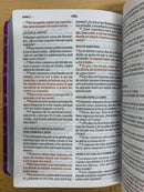 Bíblia de letra grande tamaño manual riena Valera 1960 violeta semipiel