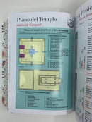 Biblia letra grande 11 PUNTOS Reina Valera 1960 compacta pájaros turquesa