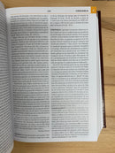 Diccionario bíblico ilustrado holman de lujo café marrón