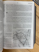 Bíblia de estudio de la reforma de las americas simipiel ciruela R.c.sproul