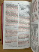 Bíblia para quinceañera reina Valera 1960 semipiel franbuesa