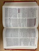 Bíblia de estudio nueva reforma Nvi rojo piel imitación 9 puntos