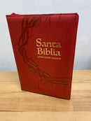 Bíblia de letra súper gigante 19 puntos riena valera  1960 rojo cierre índice