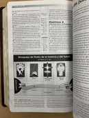 Biblia de estudio de la profecía Reina Valera 1960 Tim lahaye  cafe Indice
