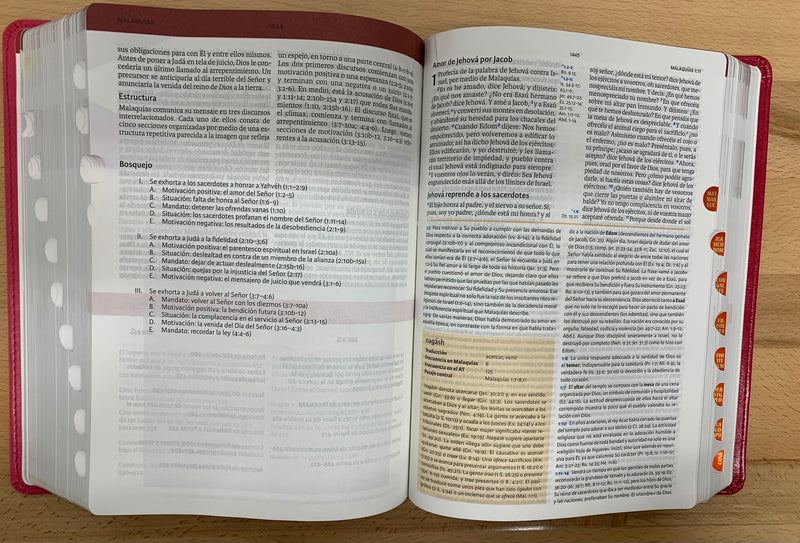 Bíblia de estudio holman para mujeres reina Valera 1960 semipiel fuchsia índice