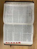 Bíblia de estudio palabra clave piel genuina índice con diccionario hebreo y griego