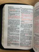 Bíblia tamaño bolsillo reina Valera 1960 leon gris cierre índice 8 puntos