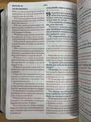 Bíblia de letra grande tamaño manual Reina 1960 lujo con índice imágenes de la tierra santa