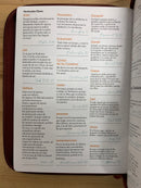 Bíblia de letra gigante 15 puntos rv1960 cierre índice embossed geométrico