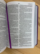 Bíblia de letra grande tamaño manual riena Valera 1960 violeta semipiel