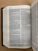 Bíblia católica Hispanoaméricana  intercofecional  texto hebreo edición estudio vinilo