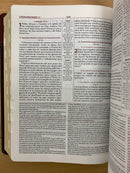 Biblia de estudio Ryrie ampliada reina Valera 1960 dúo tone marrón con índice piel