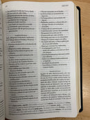 Bíblia textual IVª EDICIÓN) 2020 de regreso ala fuentes Piel genuina