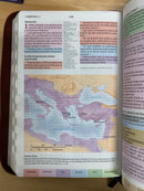 Bíblia de estudio arcoíris simipiel café reina 1960 con índice