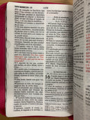 Bíblia tamaño manual letra grande Reina Valera 1960 cierre índice rosa flores