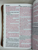 Bíblia letra súper gigante 19 puntos Reina Valera 1960 cierre marrón índice