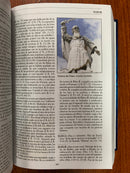 Nuevo diccionario de la Bíblia Alfonzo lockward tapa dura