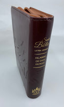 Bíblia tamaño bolsillo letra grande  9 puntos reina Valera 1960 cierre café índice