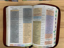 Bíblia de estudio arcoíris Reina Valera 1960 simipiel bronce índice
