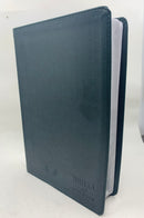 Bíblia del pescador Nvi letra grande 11 puntos verde piel imitación