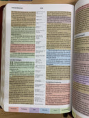 Bíblia de estudio arcoíris Reina Valera 1960 simipiel bronce índice