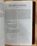 Bíblia Nvi letra grande tamaño manual semipiel solopa con iman