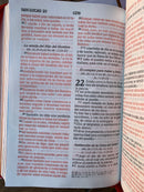 Bíblia para niñas mi gran viaje letra grande Reina Valera 1960 marada con cierre