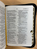 Bíblia tamaño bolsillo reina Valera 1960 acolchada