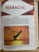 Bíblia de estudio holman rv1960chocolate terracota con índice