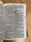 Bíblia de letra gigante pra mujer  reina Valera 1960  cierre rosa marrón 14 puntos