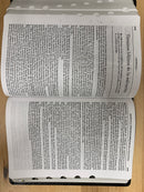 Bíblia de estudio vida plenareina valera 1960 imitation piel con índice