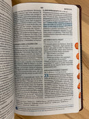 Bíblia del pescador letra grande Reina Valera 1960 piel caoba con índice letra 11 puntos