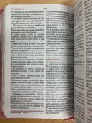 Bíblia tamaño bolsillo para jóvenes reina Valera Funte de bendiciones reina 1960 con índice