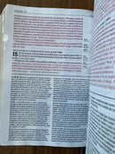 Bíblia de estudio diario vivir letra grande 11 puntos riena Valera 1960 con indice negro