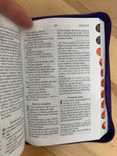 Bíblia de letra grande tamaño 10 puntos Reina Valera 1960 morado con índice cierre