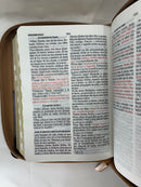 Bíblia tamaño bolsillo águila Reina Valera 1960 cierre índice