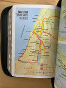 Bíblia letra grande 11 puntos leon gris  tamano portatil  rv 1960 cierre índice 11 puntos