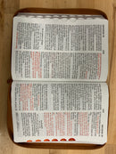 Bíblia de letra gigante para hombres reina Valera 1960 cafe cierre 14 puntos  índice