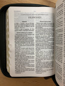 Bíblia tamaño bolsillo reina Valera 1960 leon gris cierre índice 8 puntos