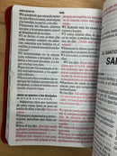 Bíblia para mujer  de letra súper gigante reina Valera 1960 cierre rojo índice 19 puntos