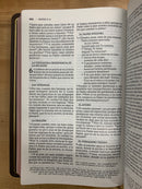 Bíblia Nbla del ministro piel  genuina de cabra Letra  Grande ultrafina COLECCION PREMIER