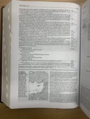 Bíblia de estudio diario vivir letra grande Ntv simipiel café marrón con índice